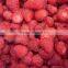CHINA VACUUM FROZEN DRIED STRAWBERRY NATURAL GREEN SAFE DELICIOUS