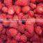 2016 May new crop IQF frozen strawberry fruit iqf strawberry