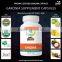 Organic Garcinia Capsules (Used As Slimming Aid) Bulk Exporters