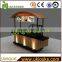 Moibile Ourdoor Food Cart / Coffee Cart Design for Sale