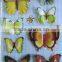 beautiful butterfly stickers for home decor promoation