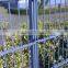 Professional Produce Powder Coating Of Double Wire Welded Mesh Fence