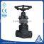 forged steel socket welded globe valve with competitive price