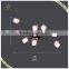 Home lighting decoration modern LED ceiling light, G4 ceiling mounted lighting fixure