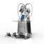 Hot Beauty Slimming Machine Beauty System Cool Sculpting Cryolipolysis Fat Freezing Machine 8.4