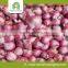 China origin red onions price 2015