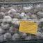 DRY GARLIC FROM EGYPT RED AND WHITE GOOD PRICE
