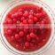 Cheap Red,Green,Black Cherry Maraschino