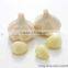 FX-128 CE Approved Garlic Peeling Skin Removal Removing Machine