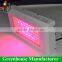 HIgh quality agricultural greenhouse used led grow lights