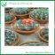Echinocactus Grusonii Var.subinermis Bonsai Ungrated cactus