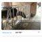 Steel Tube Cattle Headlock Fence Panels