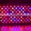 1000w Double Chips LED Grow Light Full Specturm for Greenhouse and Indoor Plant Flowering Growing (5w Leds)