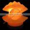 CRAFTED CRYSTAL SALT LAMPS