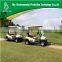 CE approved electric golf cart golf buggy with powerful motor for promotion