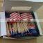 wooden toothpicks national flag sticks