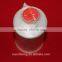 Polyester Monofilament Yarn