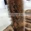 Lantian Fur Natural Raccoon Large Fur Collar /real fur Trim for Winter Coat/Parka