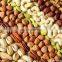 High efficiency wheat flour roasting machine/roasted nuts machine/roasted cashew nuts machine