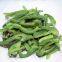 Frozen Green  pepper slice