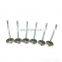 Diesel engine spare part metal 3924492 6CT intake valve
