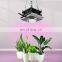 cxb3590 COB led grow light real 60W 4000K  Led plant grow light kit