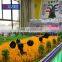 Unit architecture professional hotel design architect model