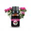 GMP rhododendron essential oil aromatic essential oil cosmetic base oil
