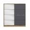 Modern 2 Mirror Doors Sliding Wardrobe Armoire