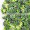 BRC Certified IQF Frozen Broccoli with Competitive Price