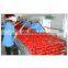 tomato paste production line/tomato puree making machine