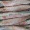 Frozen delicious round squid from China