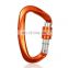 JRSGS Wholesale Hot Sale Customized Locking Carabiner For Climbing And Hammock Aluminium Safety Hook 25kn