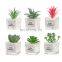 2021 Newest Artificial Succulents Tabletop Greenery Clear Square Glass Pots Pebble Rock Planter Plants Cactus For Home Decor