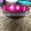 Eco Friendly Lacquer Inside Coconut Shell Bowls Wholesale in bulk coconut fruit bowl made in Vietnam