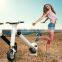 Cheap China Two Wheel Electric Bike With World Patent