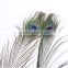 Coloful Elegant plume crafts wholesale dyed large peacock feathers for costume