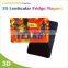 3D Design PET Souvenir Fridge Magnet With Cheap Price
