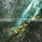 safety net for fruit/olive net factory meat netting packing