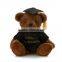 Stuffed Plush Doctor Graduation Gift Teddy Bear Toy