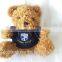High quality plush Teddy Bear with T-Shirt