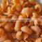 Automatic 2D snack crispy chips/screw/shell/extruded pellet machine