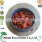 Bulk Sale Goji Berries Dried Wholesale Goji Berry