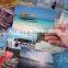 Inkjet Matte Photo Paper (90gsm-180gsm)