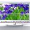 professional manufactuer 720p 22 inch LED TV