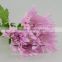 Most Popular Popular Chrysanthemum With 10 Stems/Bundle Garden Flowers Autumn Chrysanthemum With 0.5kg/Bundle Chrysanthemum Pink