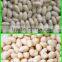 Blanched Peanut