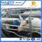 New design breeding pig equipment with low price