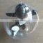 dolphin inside inflatable clear round ball