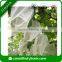 Cheap Lemon Bags/ Fruit Growing Protection Bag / Nonwoven Packing Bag/Fruit Cover Bag